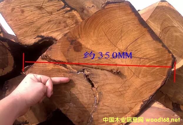 �����̴��ð��ɼ���ľ����������ӏ�(qi��ng)�O(ji��n)�ܽ�ֹ����