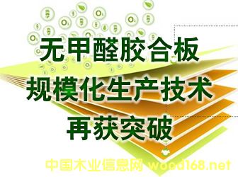 �҇��o��ȩ�z�ϰ�Ҏ�������a���g�٫@ͻ��