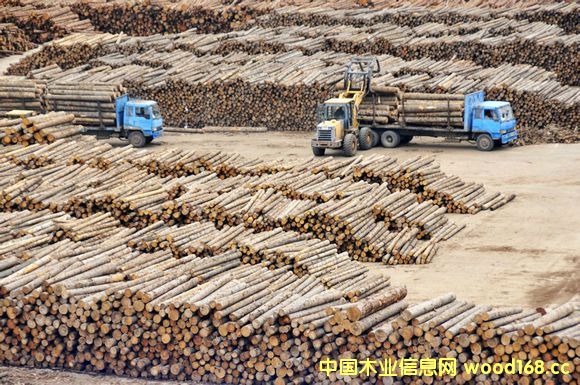 ̫�}�ۡ����Һӡ��M����ȿڰ����_˹ԭľ�������������