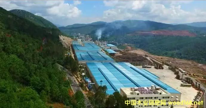 ���w��������������߻����ͦ�������|����