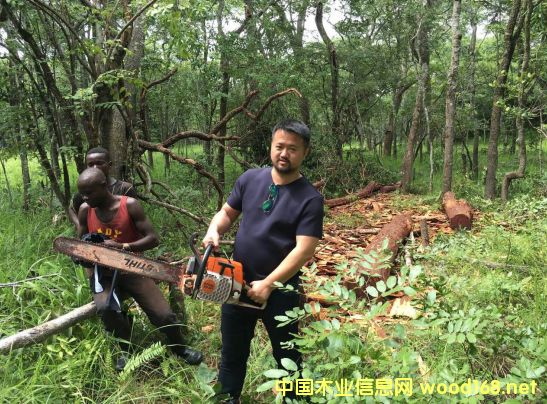 ����̩ľ�I(y��)����Σ����CȾ����̴���ߌ���·