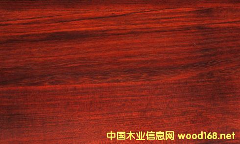 ���FӲľ�òļ������Fľ������̴���ă�ȱ�c