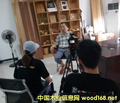 CCTV�l�F֮�á�Ʒ�|����Ŀ ���M����ɭ��ľ�I