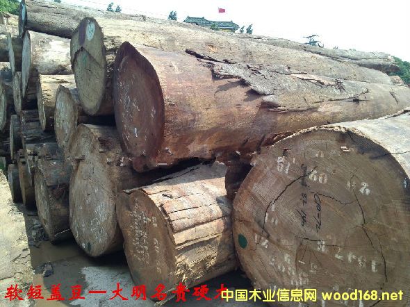 ľ�Ę�NԔ��--ܛ���w��ľ  �׷Q���Sõ������zľ