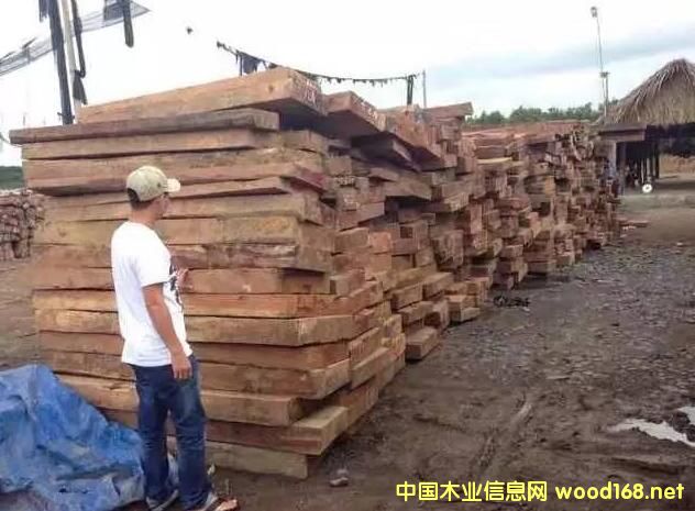 ����ľ���ꌢ�oľ�������tľ�Ј�����Ч���_ʼ��