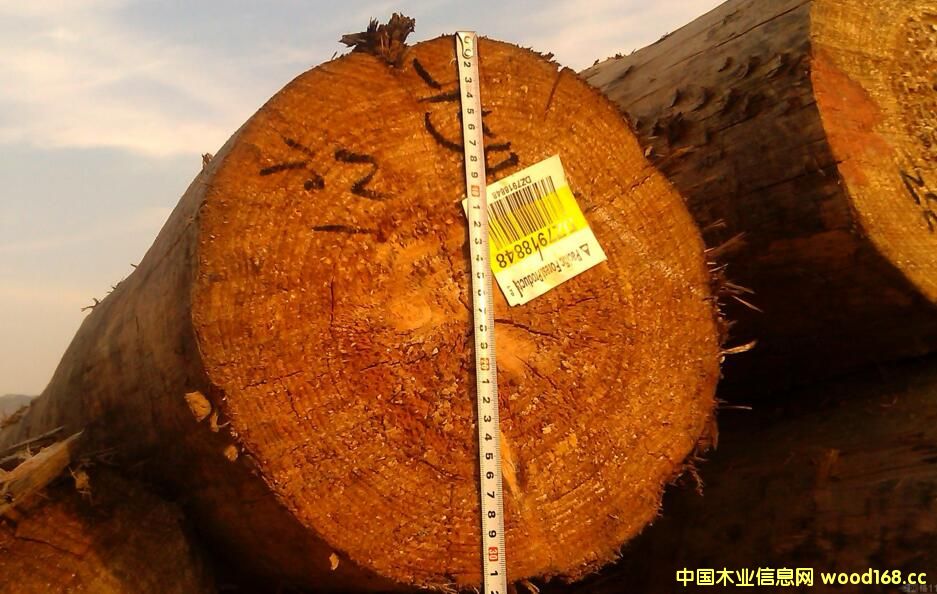 ľ���M����ע�⣺ݗ���ɵ�ԭľ���P(gu��n)�¾��a��ľ�Ľ���ߴ������˅^(q��)