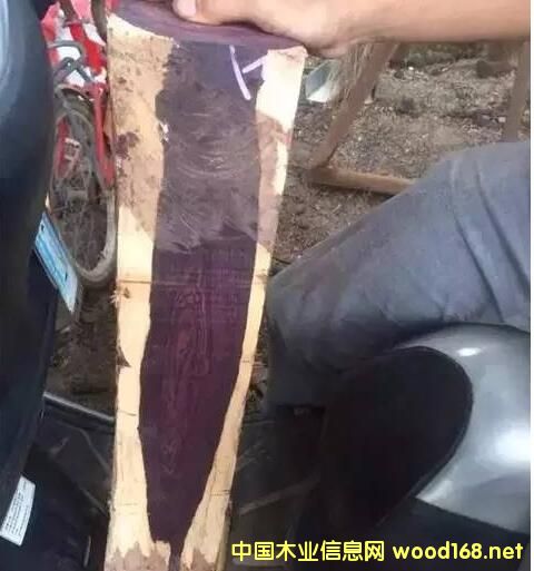 ِ���S̴:��һ�Nð�亣���S�����ľ��,���ƶ��_90%