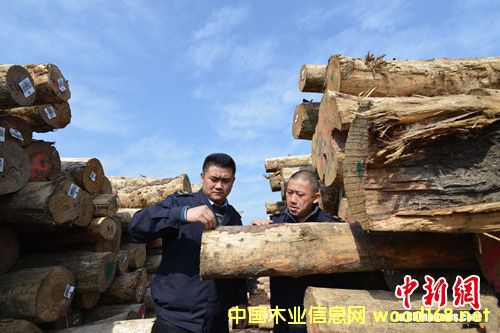 悽������޴a�^�������m�M��ԭľ�M�ЬF�����