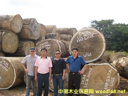 ������ľ�Įa�I��ȷ���