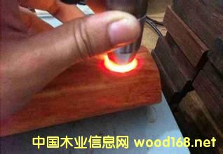 �tľ��DNA�z�y�����F(xi��n)�o�p����?zh��n)? border=