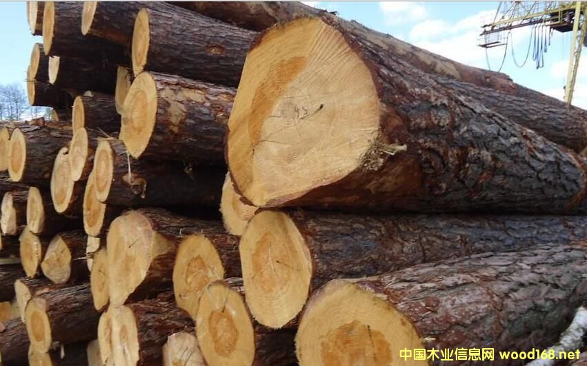 �B�T���Q�^�|�ɿڰ�ľ���Ԟ����m������ԭľ����