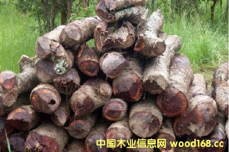 ���޲ļ������S�ݡ� ���������������ȁ���ٝ�ȁ����^��ֹԭľ��