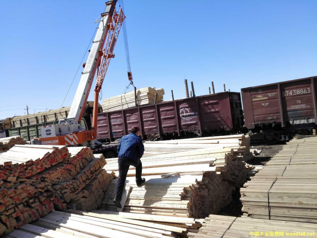 ��̩ľ�I(y��) ���B���ؿڰ�����ɼ�����Ƭ