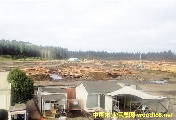 �B�T���Q�ث@�����mľ�Ĺ���ӆ�� ��Ҏ���֘IͶ�Y