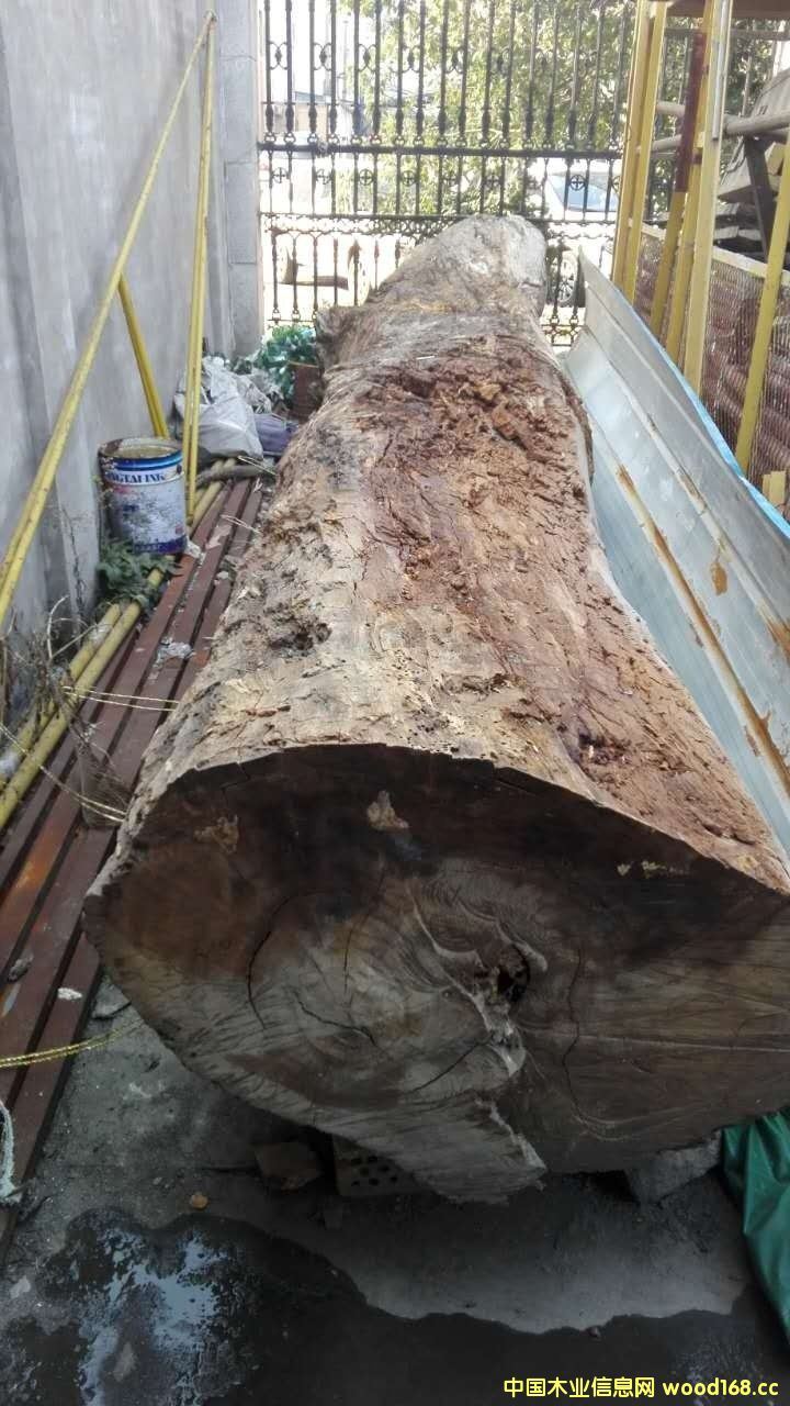 ��������200Ԫ���ԡ���(l��i)��ľ�^��3���Ȼ�u��168�f(w��n)Ԫ����