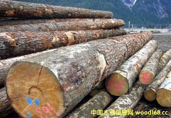 ��ȷ��������ô�BCԭľ�������߼��Q�ױډ�