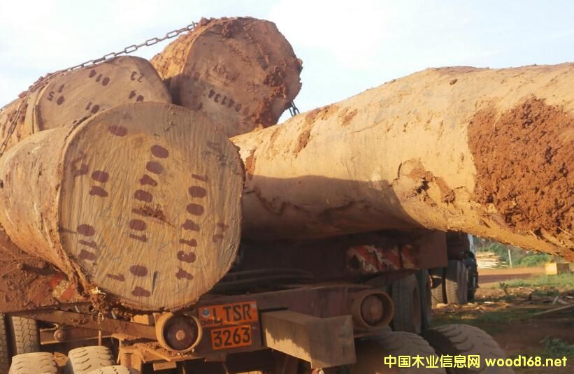 ����¡2017��������(du��)ԭľ��������20%�ĳ��ڶ�