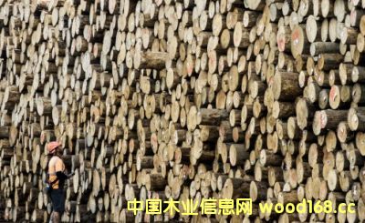 ȫ��ľ�ĝq�r�L����Ӱ푵������mԭľ�r��