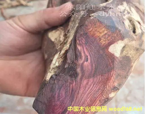 ԓ�S����a(ch��n)�Ծ��顢�ϓ�Ę�(sh��)��