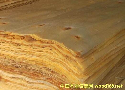 ����h�����I(y��)ӭ��(l��i)���ڶ����� �Ą�(l��)���a(ch��n)��Ҏ(gu��)���Ƥ