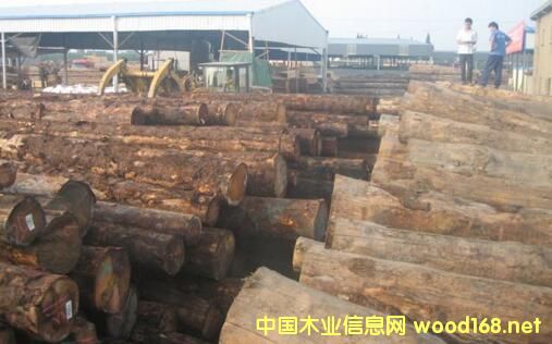 �����M��ľ�ĳʬF�֏������L