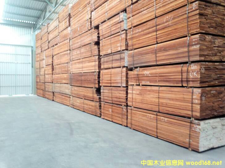 ӡ���һ�о-b1