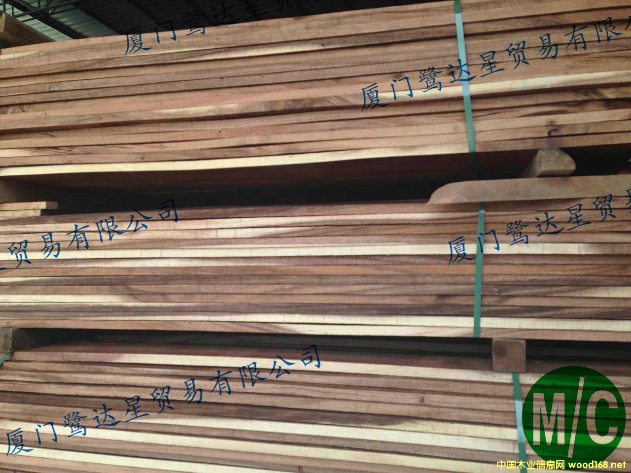 ��������ľ-b4