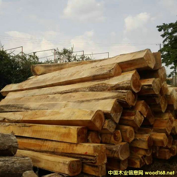 ������ľ��Ԕ����B