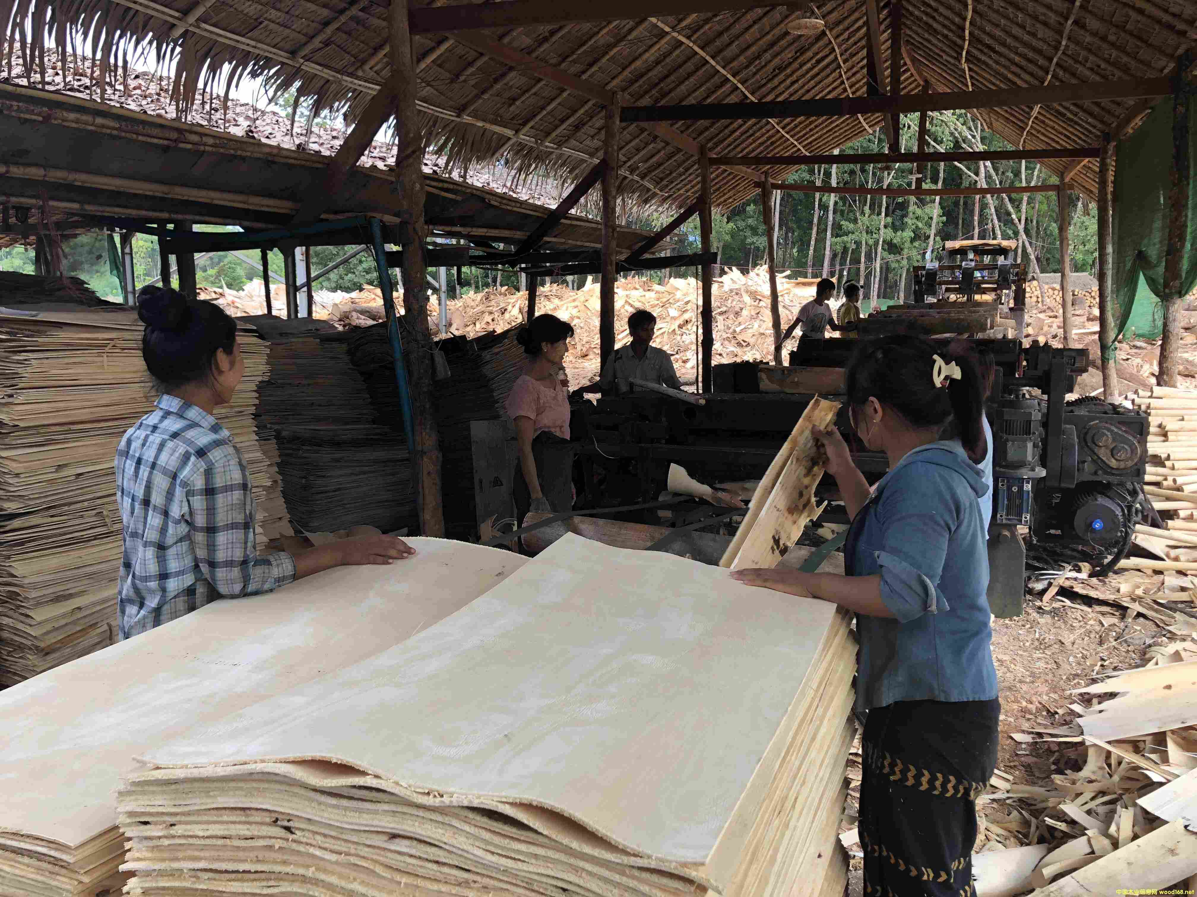 ���zľ�ΰ�