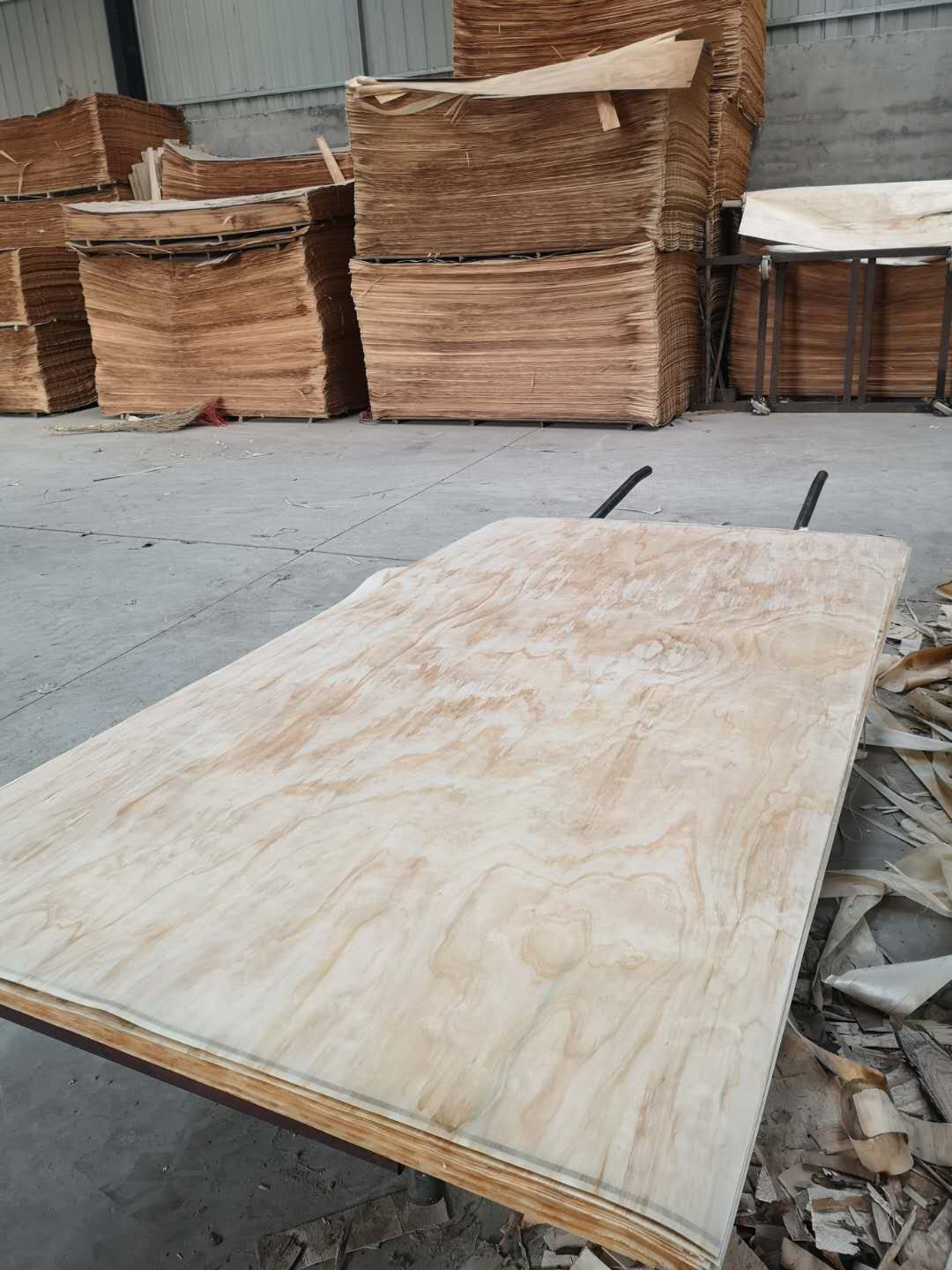 �o������Ƥ