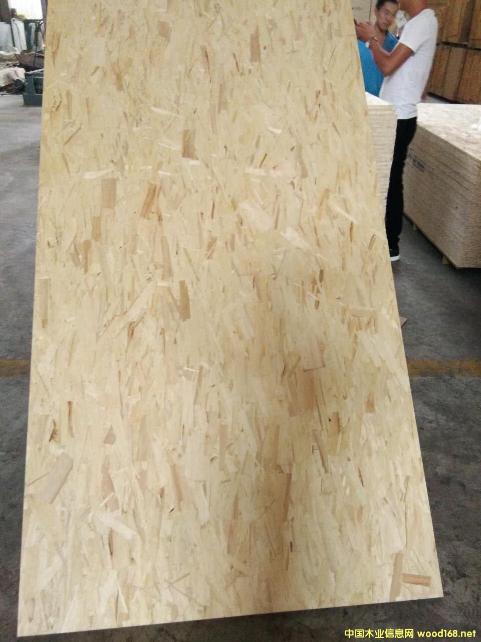 [��] ALLFLYȫ��ľ�oȩ��OSB �W�ɰ�