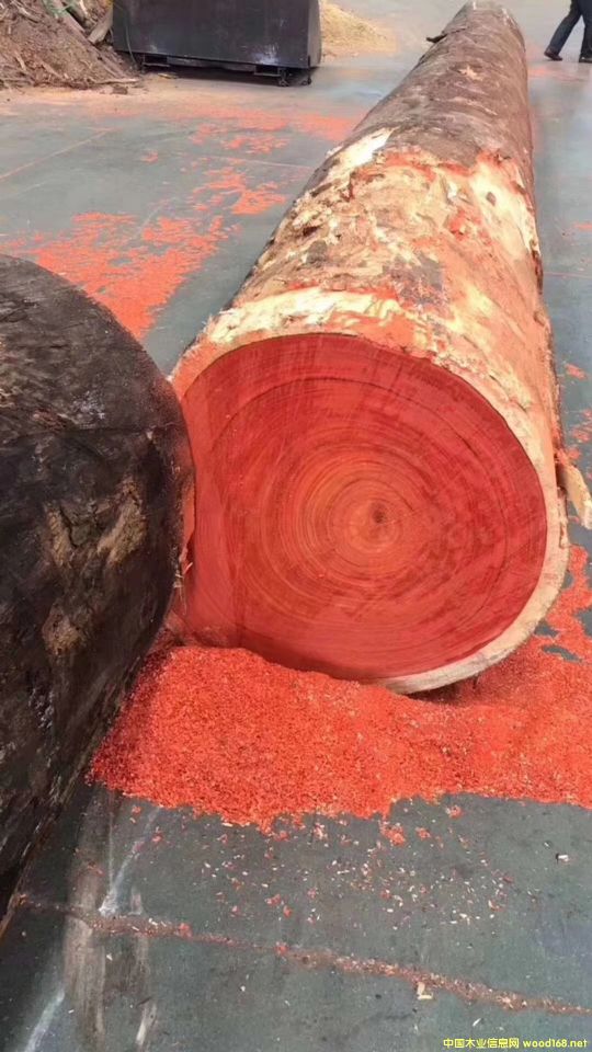 �t������������̴��Ԕ����B