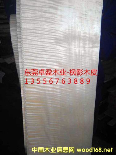 ��ӰľƤ��10�z��20�z��30�z��