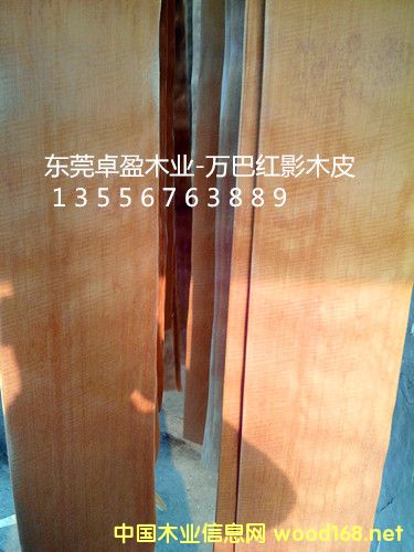 �tӰľƤ10�z��20�z��30�z