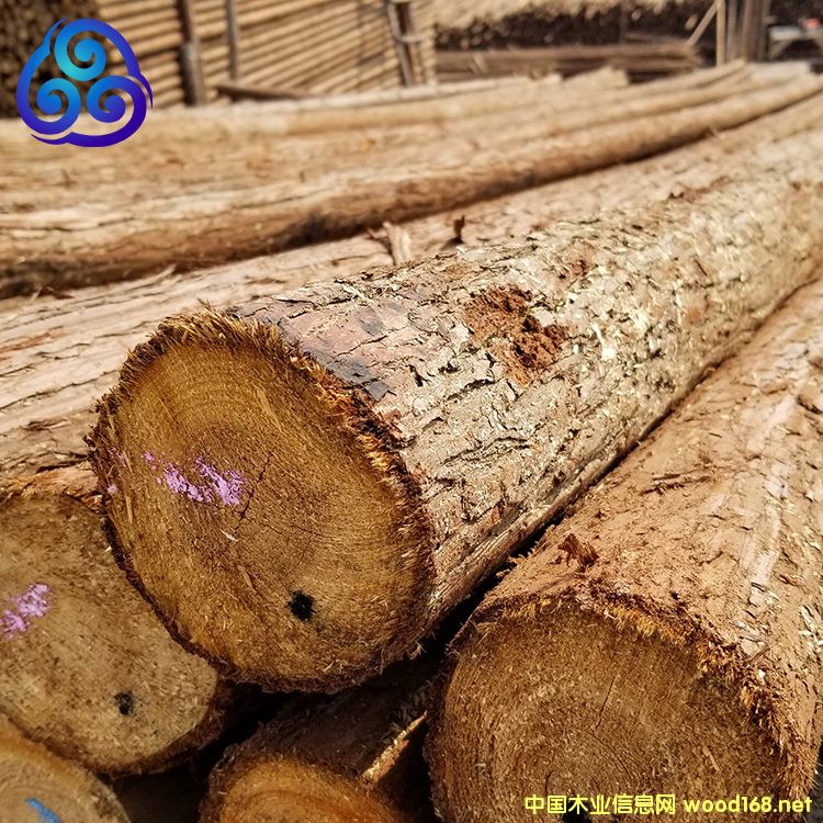 [��] ���ɳ�Uɼľ�U�߉���늾W(w��ng)���o���×UԴ�^؛