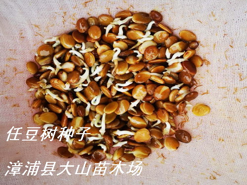 �ζ���N�ӡ����vľ��Ԕ����B