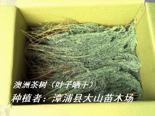 ���޲���~����ȡ����ԭ�ϵ�Ԕ����B