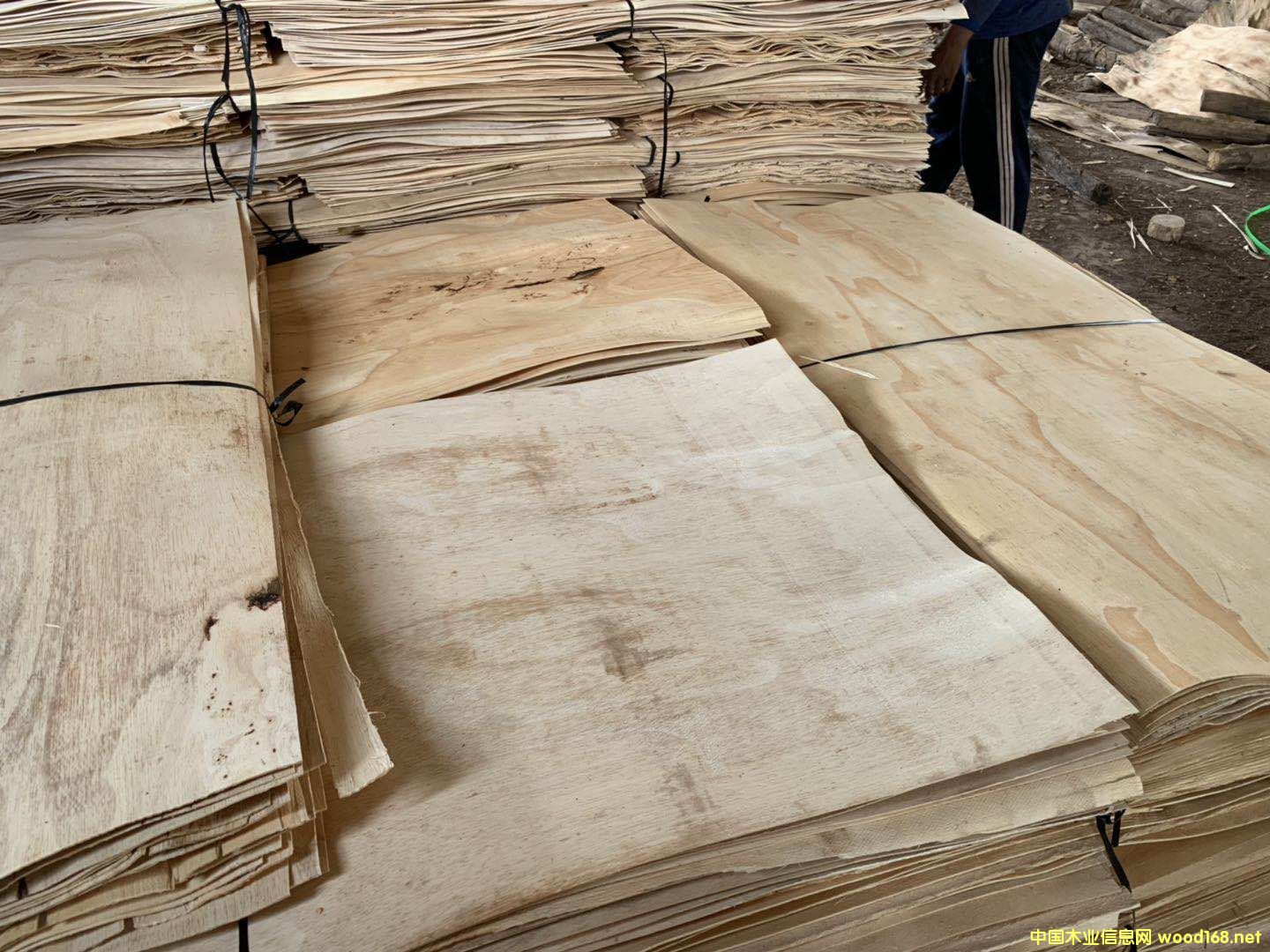 ���zľ�A��Ƥ