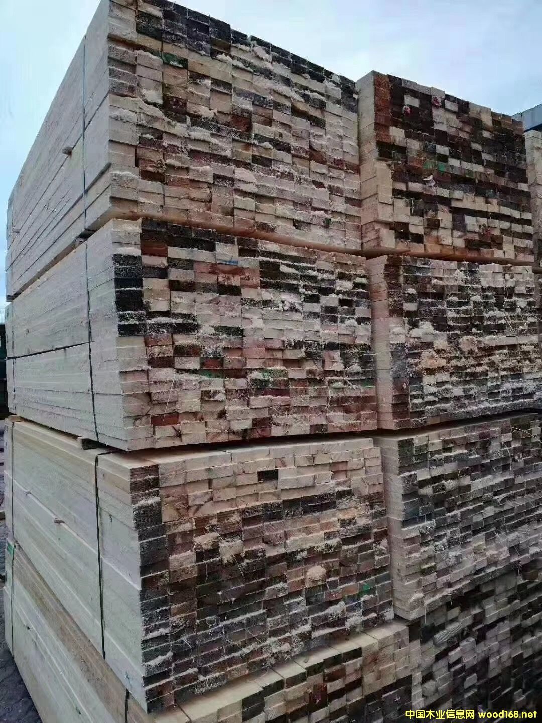 ���ɵ�Ԕ����B