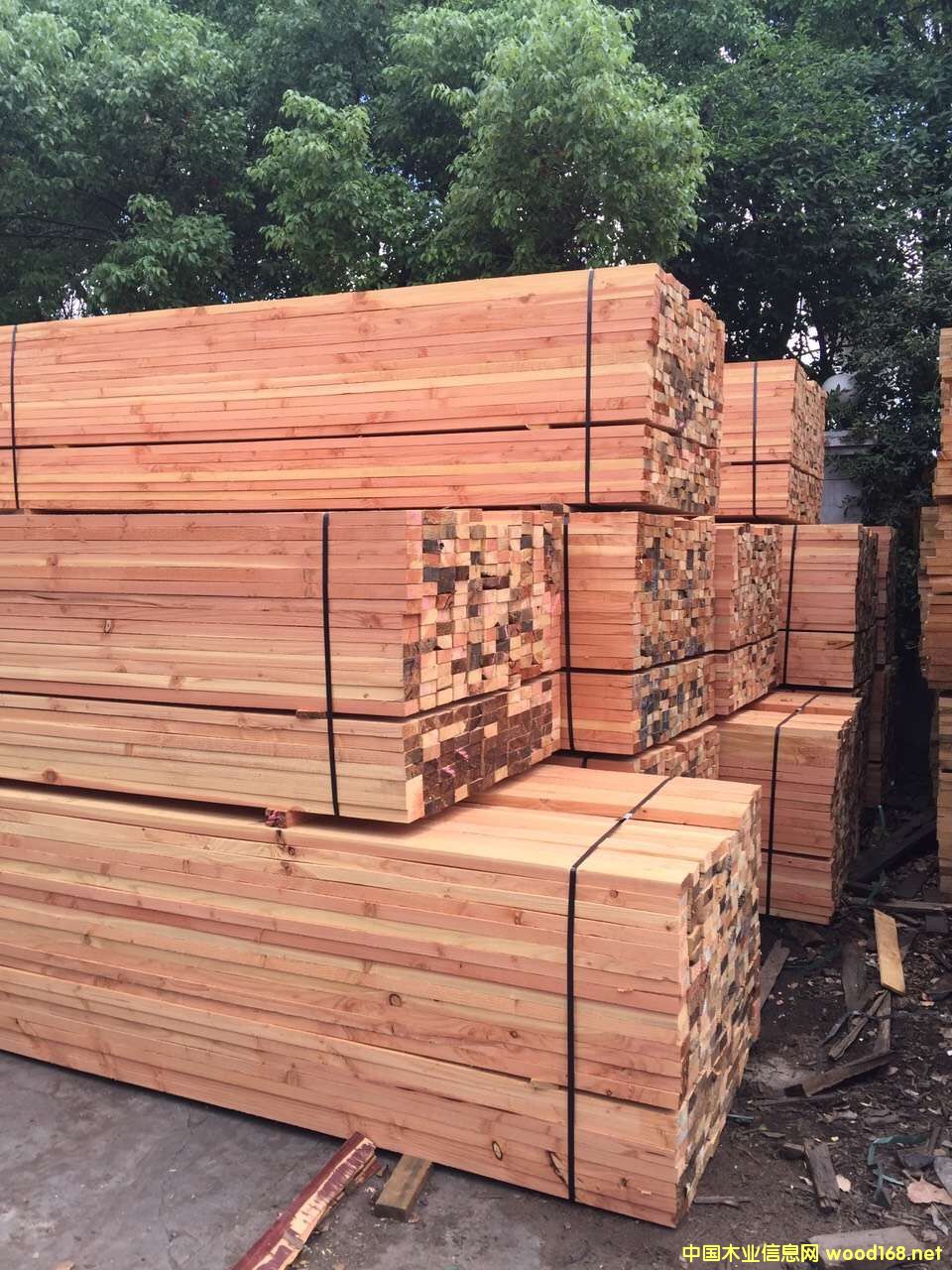 [��] ����ģ��