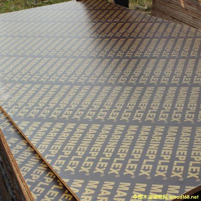 �V����Ĥ��ľģ��