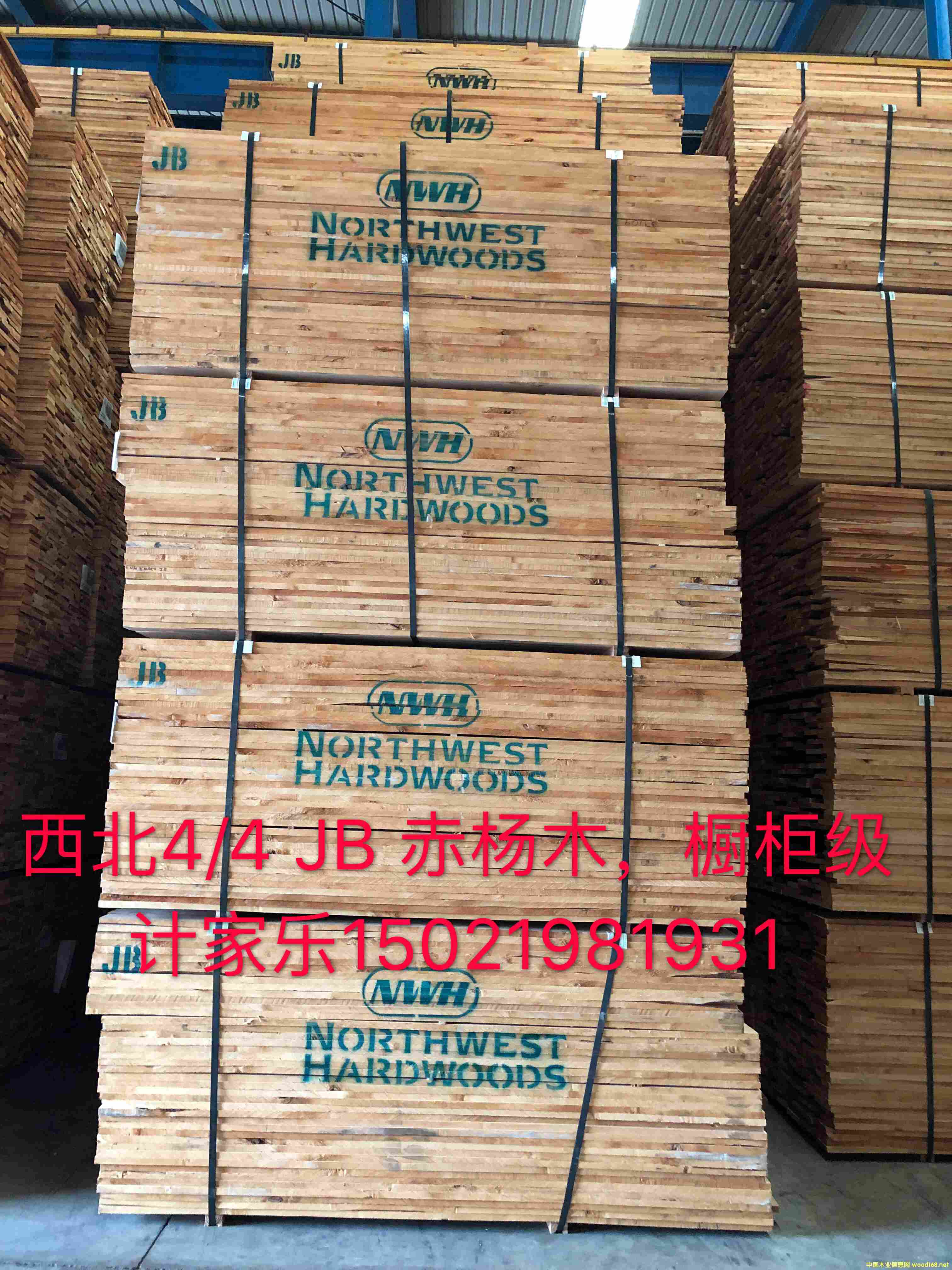 ����ľ��Ԕ����B