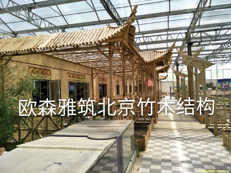 ��ͤ�ӵ�Ԕ����B