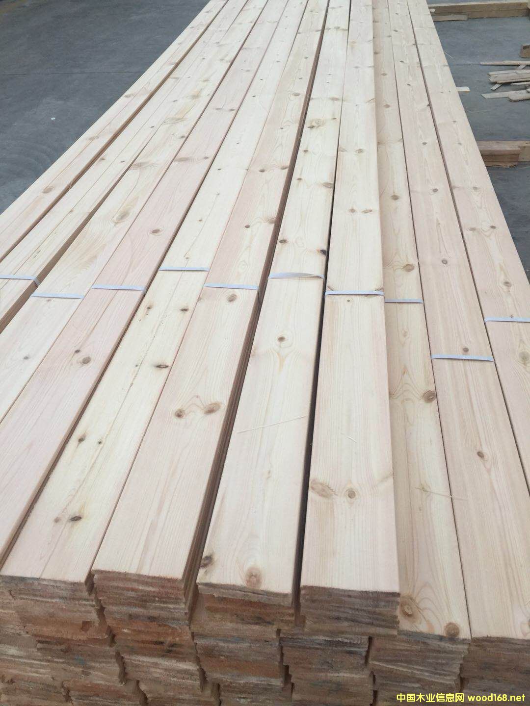 ���_˹�����ɰ��ϵ�Ԕ����B