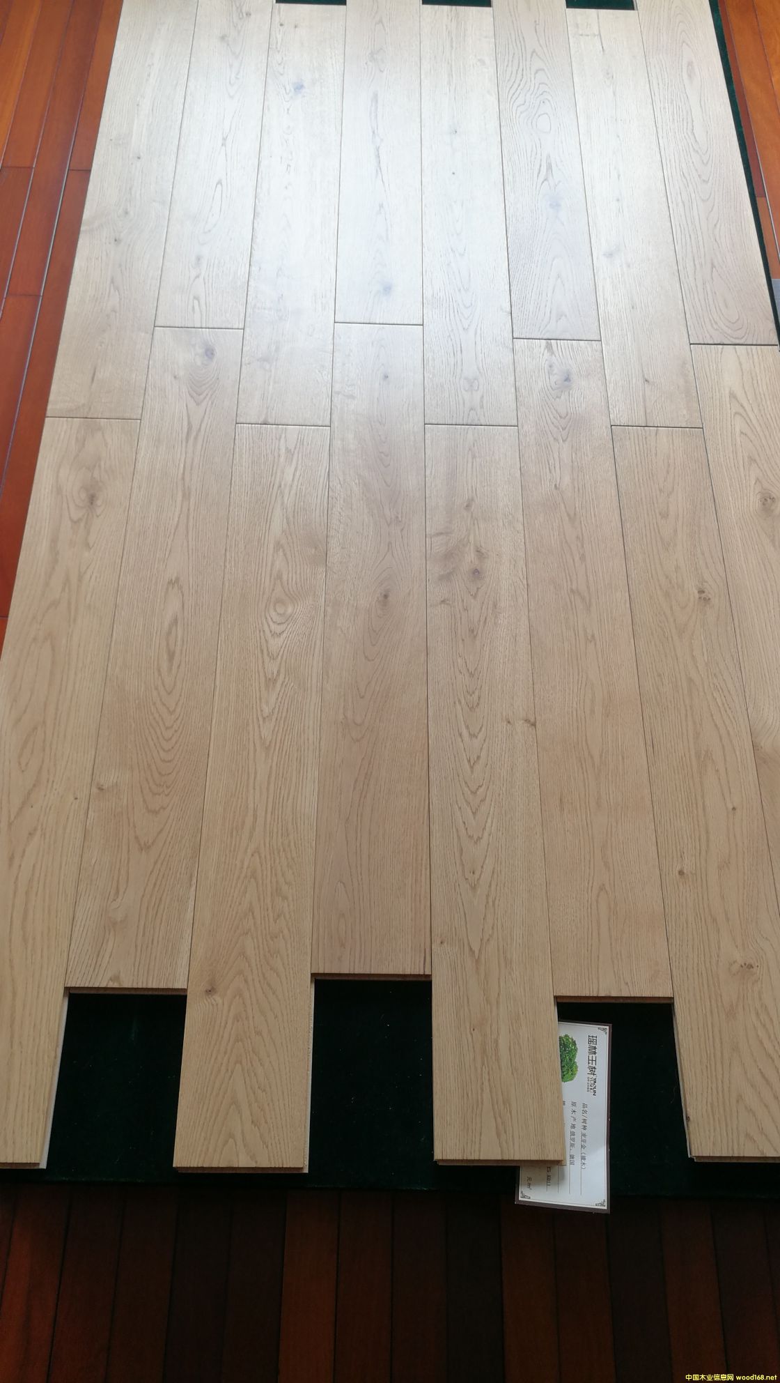 ��ľ��ľ�ذ��Ԕ����B