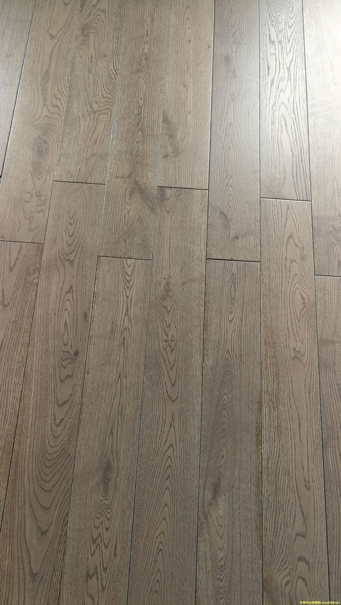 ��ľ��ľ�ذ��Ԕ����B