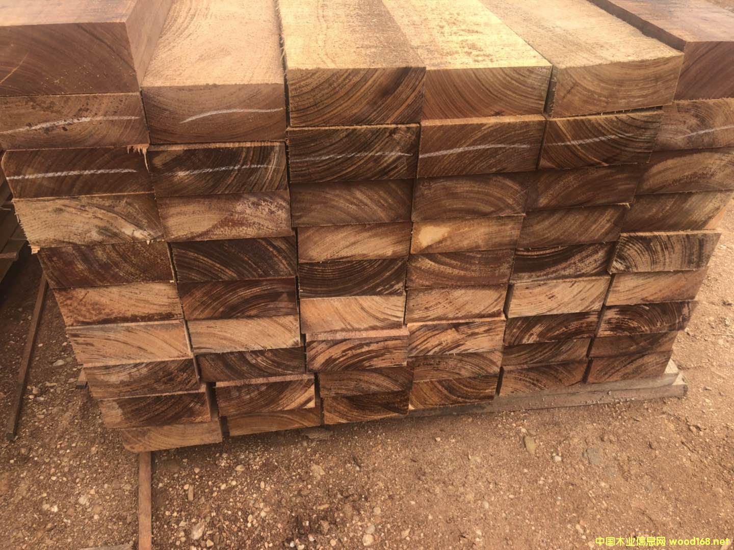 ���~���撁����