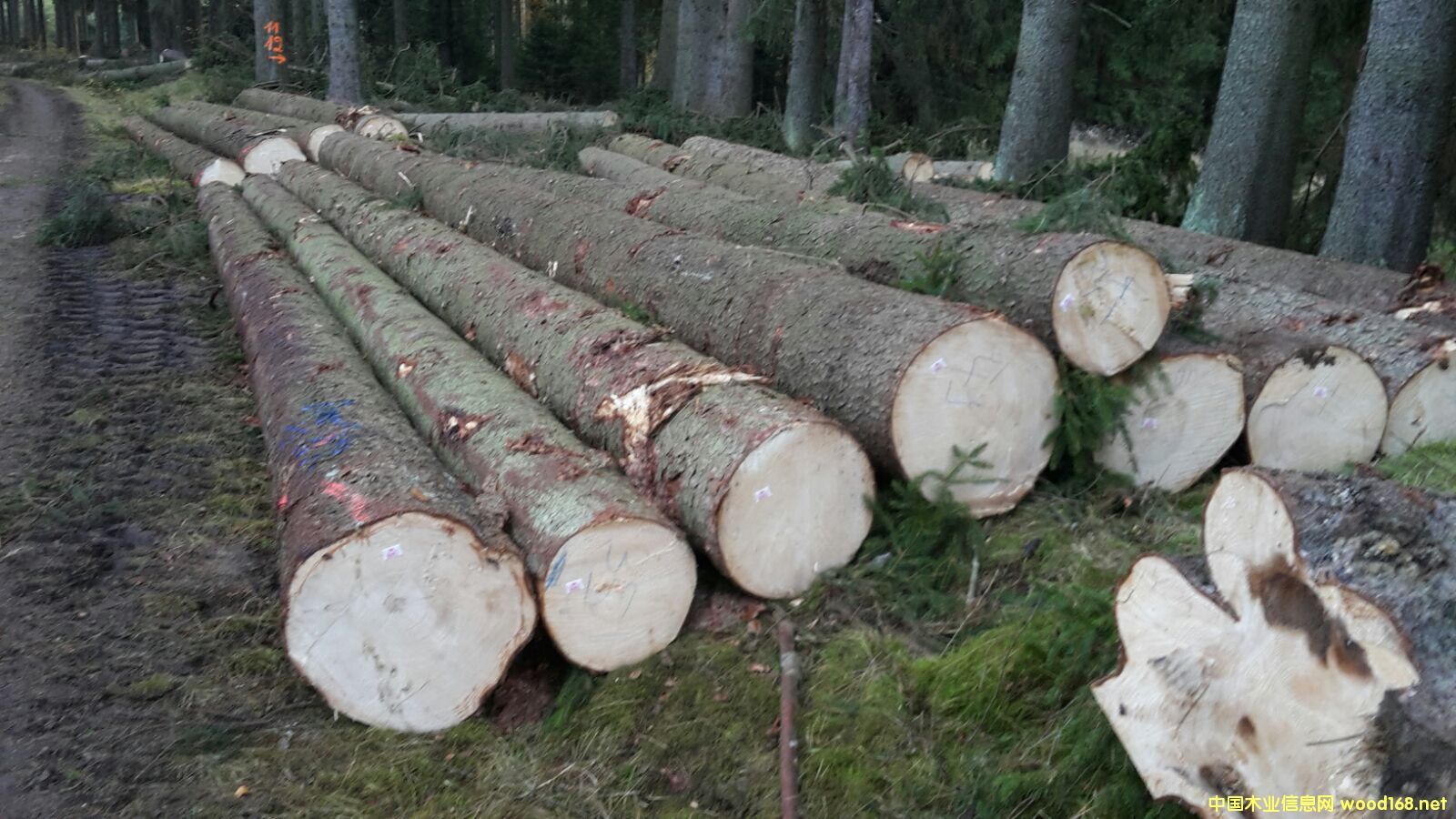 ��(gu��)���ɣ���ɼ