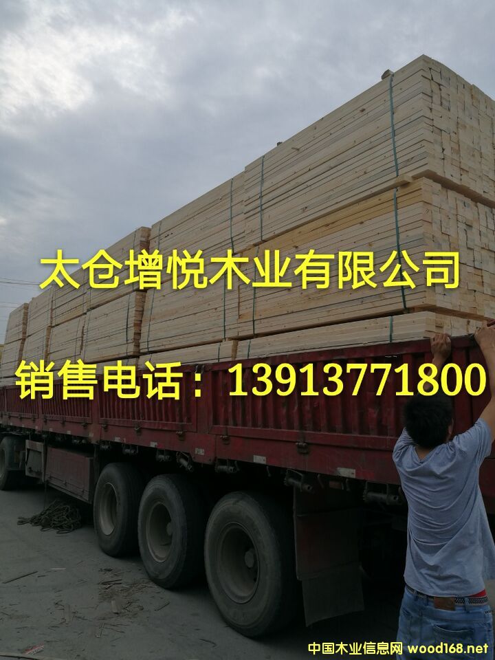 ���I�������ô����SPF��� �������� ��������ٹ� �����