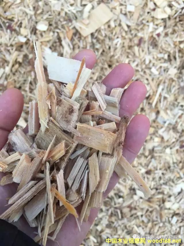 �c���鿴�羳��ُ�����_˹���~�����Іΰ�U��ľƬ��Ԕ���Y��